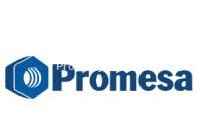 Promesa Group logo